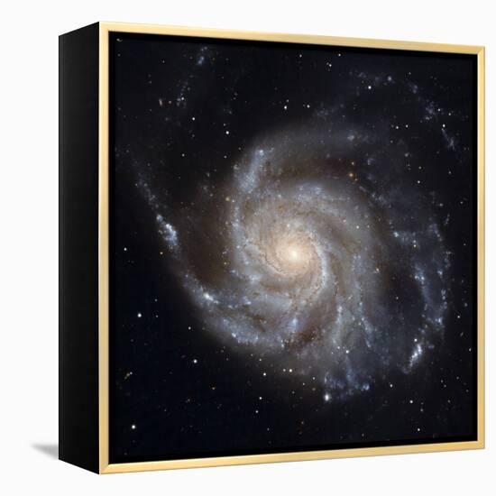 Messier 101, the Pinwheel Galaxy-Stocktrek Images-Framed Premier Image Canvas
