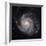 Messier 101, the Pinwheel Galaxy-Stocktrek Images-Framed Photographic Print