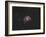 Messier 27, the Dumbbell Nebula-null-Framed Photographic Print