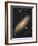 Messier 31, the Andromeda Galaxy-null-Framed Photographic Print