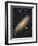 Messier 31, the Andromeda Galaxy-null-Framed Photographic Print