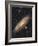 Messier 31, the Andromeda Galaxy-null-Framed Photographic Print