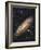 Messier 31, the Andromeda Galaxy-null-Framed Photographic Print