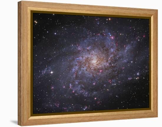 Messier 33, Spiral Galaxy in Triangulum-Stocktrek Images-Framed Premier Image Canvas