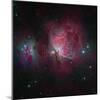 Messier 42, the Orion Nebula-null-Mounted Photographic Print