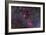 Messier 52 and the Bubble Nebula in Cassiopeia-Stocktrek Images-Framed Photographic Print