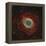 Messier 57, the Ring Nebula-Stocktrek Images-Framed Premier Image Canvas