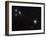 Messier 77 (NGC 1068), and NGC 1055 are Both Spiral Galaxies Located in the Constellation Cetus-Stocktrek Images-Framed Photographic Print