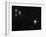 Messier 77 (NGC 1068), and NGC 1055 are Both Spiral Galaxies Located in the Constellation Cetus-Stocktrek Images-Framed Photographic Print