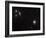 Messier 77 (NGC 1068), and NGC 1055 are Both Spiral Galaxies Located in the Constellation Cetus-Stocktrek Images-Framed Photographic Print