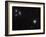 Messier 77 (NGC 1068), and NGC 1055 are Both Spiral Galaxies Located in the Constellation Cetus-Stocktrek Images-Framed Photographic Print