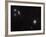Messier 77 (NGC 1068), and NGC 1055 are Both Spiral Galaxies Located in the Constellation Cetus-Stocktrek Images-Framed Photographic Print