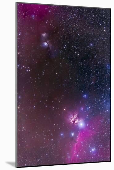 Messier 78 and Horsehead Nebula in Orion-Stocktrek Images-Mounted Photographic Print