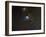 Messier 78 Reflection Nebula in Orion-Stocktrek Images-Framed Photographic Print