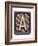 Metal Button Alphabet Letter A-donatas1205-Framed Premium Giclee Print