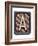 Metal Button Alphabet Letter A-donatas1205-Framed Art Print