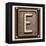 Metal Button Alphabet Letter E-donatas1205-Framed Stretched Canvas