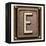 Metal Button Alphabet Letter E-donatas1205-Framed Stretched Canvas