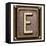 Metal Button Alphabet Letter E-donatas1205-Framed Stretched Canvas