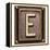 Metal Button Alphabet Letter E-donatas1205-Framed Stretched Canvas