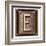 Metal Button Alphabet Letter E-donatas1205-Framed Art Print