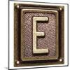 Metal Button Alphabet Letter E-donatas1205-Mounted Art Print