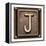 Metal Button Alphabet Letter J-donatas1205-Framed Stretched Canvas