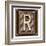 Metal Button Alphabet Letter R-donatas1205-Framed Art Print