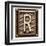 Metal Button Alphabet Letter R-donatas1205-Framed Art Print