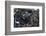 Metal Coils I-Brian Moore-Framed Photographic Print