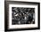Metal Coils II-Brian Moore-Framed Photographic Print