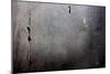 Metal Door With Rust and Paint-null-Mounted Photo