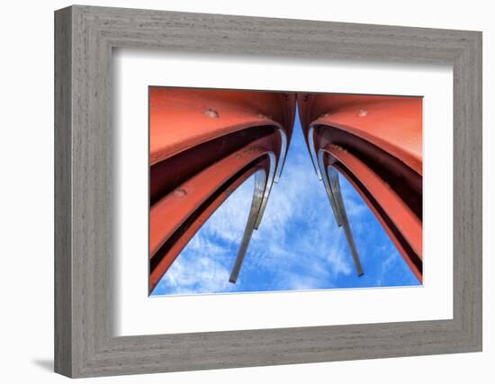 Metal Guru-Adrian Campfield-Framed Photographic Print