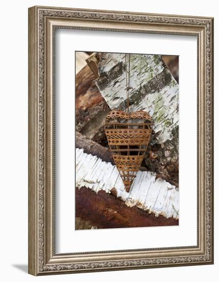 Metal Heart on Birchwood-Andrea Haase-Framed Photographic Print