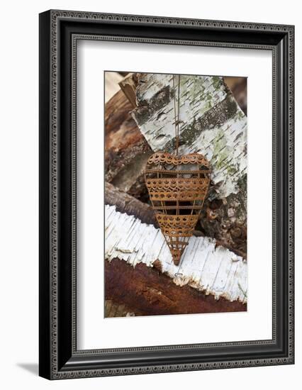 Metal Heart on Birchwood-Andrea Haase-Framed Photographic Print