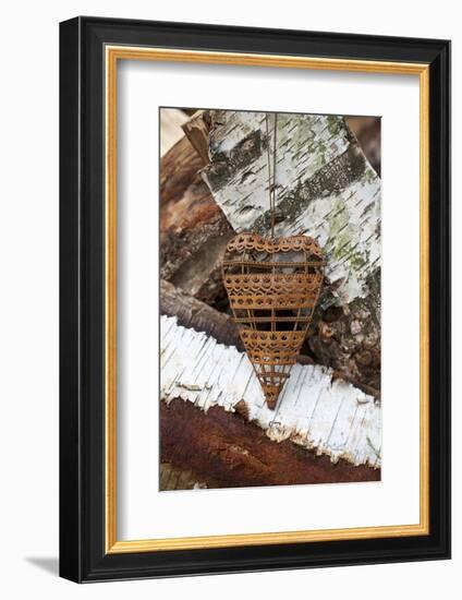 Metal Heart on Birchwood-Andrea Haase-Framed Photographic Print