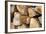 Metal Heart, Wood Pile-Andrea Haase-Framed Photographic Print