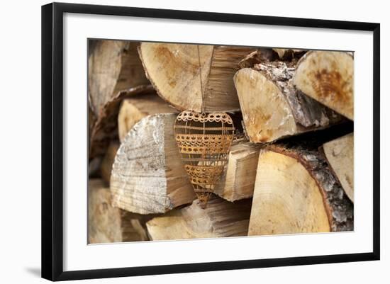Metal Heart, Wood Pile-Andrea Haase-Framed Photographic Print