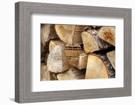 Metal Heart, Wood Pile-Andrea Haase-Framed Photographic Print