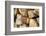 Metal Heart, Wood Pile-Andrea Haase-Framed Photographic Print