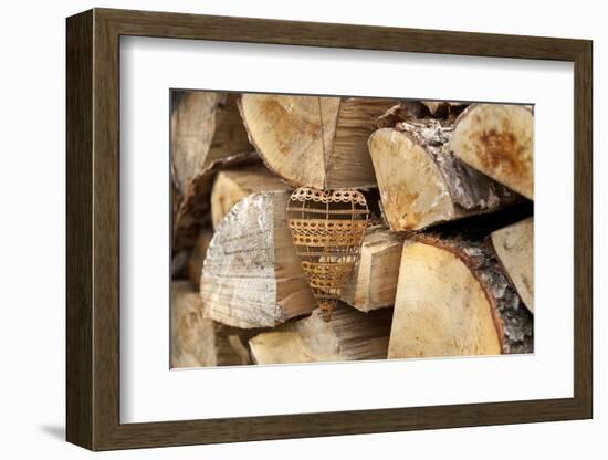 Metal Heart, Wood Pile-Andrea Haase-Framed Photographic Print