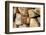 Metal Heart, Wood Pile-Andrea Haase-Framed Photographic Print