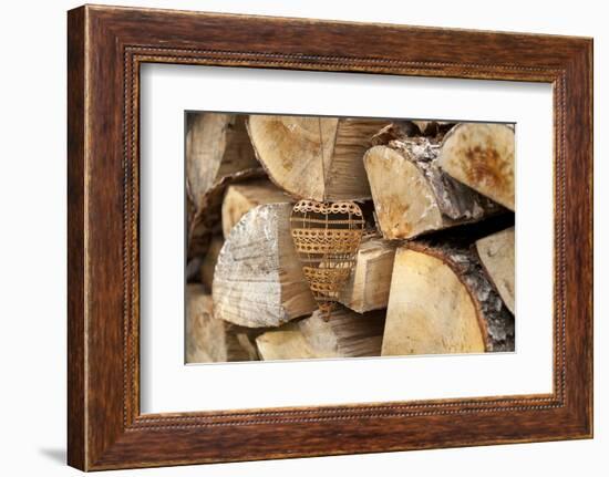 Metal Heart, Wood Pile-Andrea Haase-Framed Photographic Print