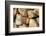 Metal Heart, Wood Pile-Andrea Haase-Framed Photographic Print