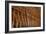 Metal Rods, Construction Detail, UK-David Barbour-Framed Photo