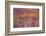 Metal Scrap Found on the Ground in Yoho National Park-Mallorie Ostrowitz-Framed Photographic Print