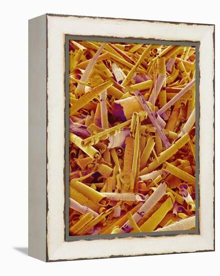 Metal Shavings-Micro Discovery-Framed Premier Image Canvas