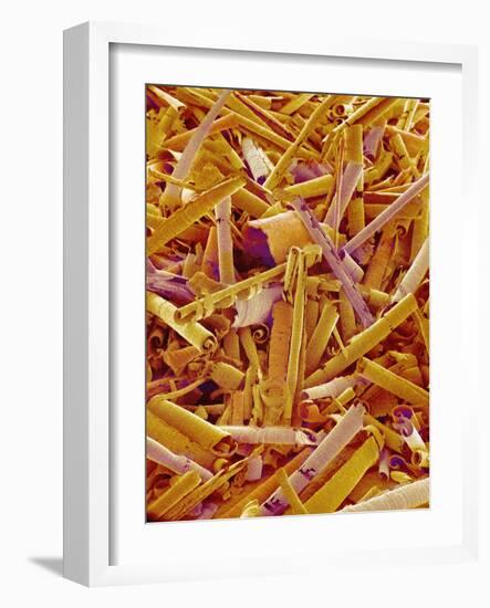 Metal Shavings-Micro Discovery-Framed Photographic Print