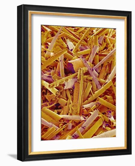 Metal Shavings-Micro Discovery-Framed Photographic Print