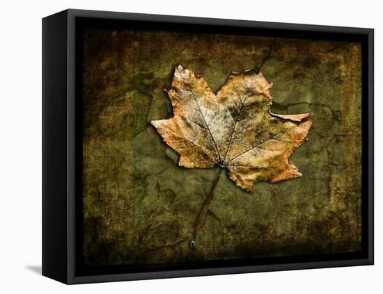 Metallic Leaf 1-LightBoxJournal-Framed Premier Image Canvas